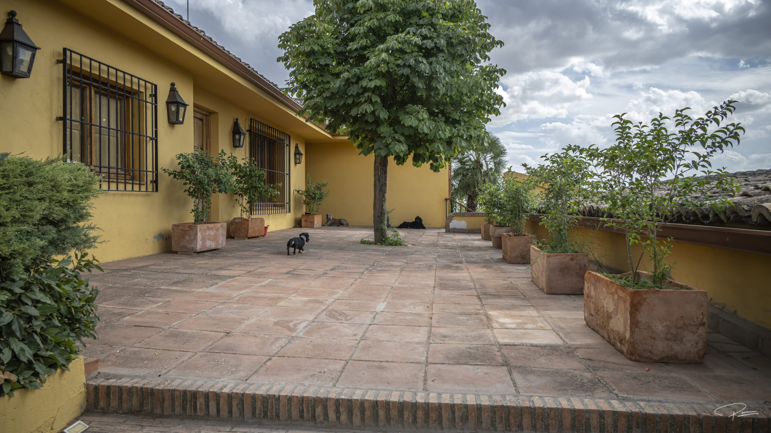 Why Finca Valhalla’s Arabic Patio Is a Filmmaker’s Dream