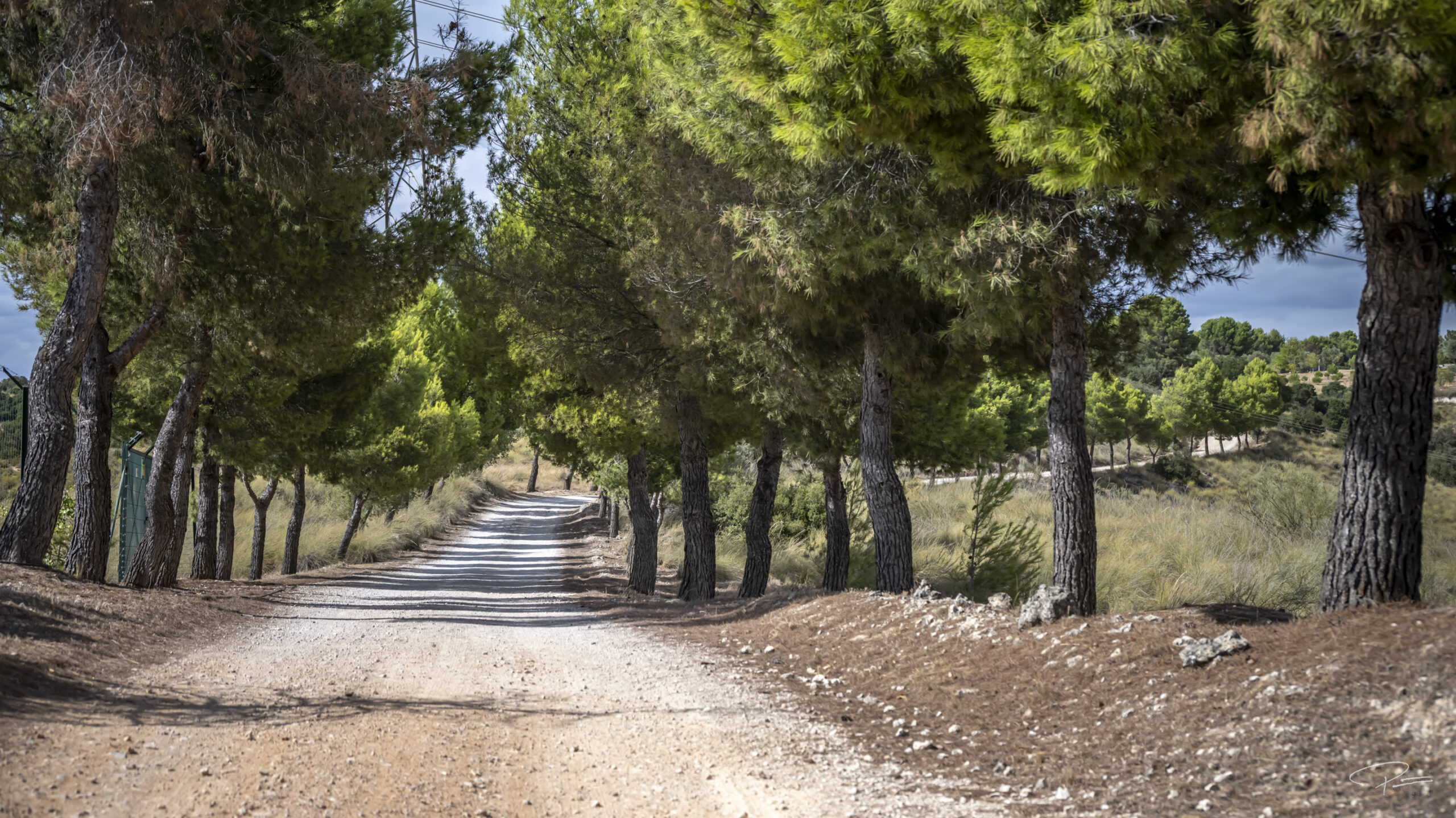 Chinchón: The Film-Set Town Just 30 Minutes from Madrid