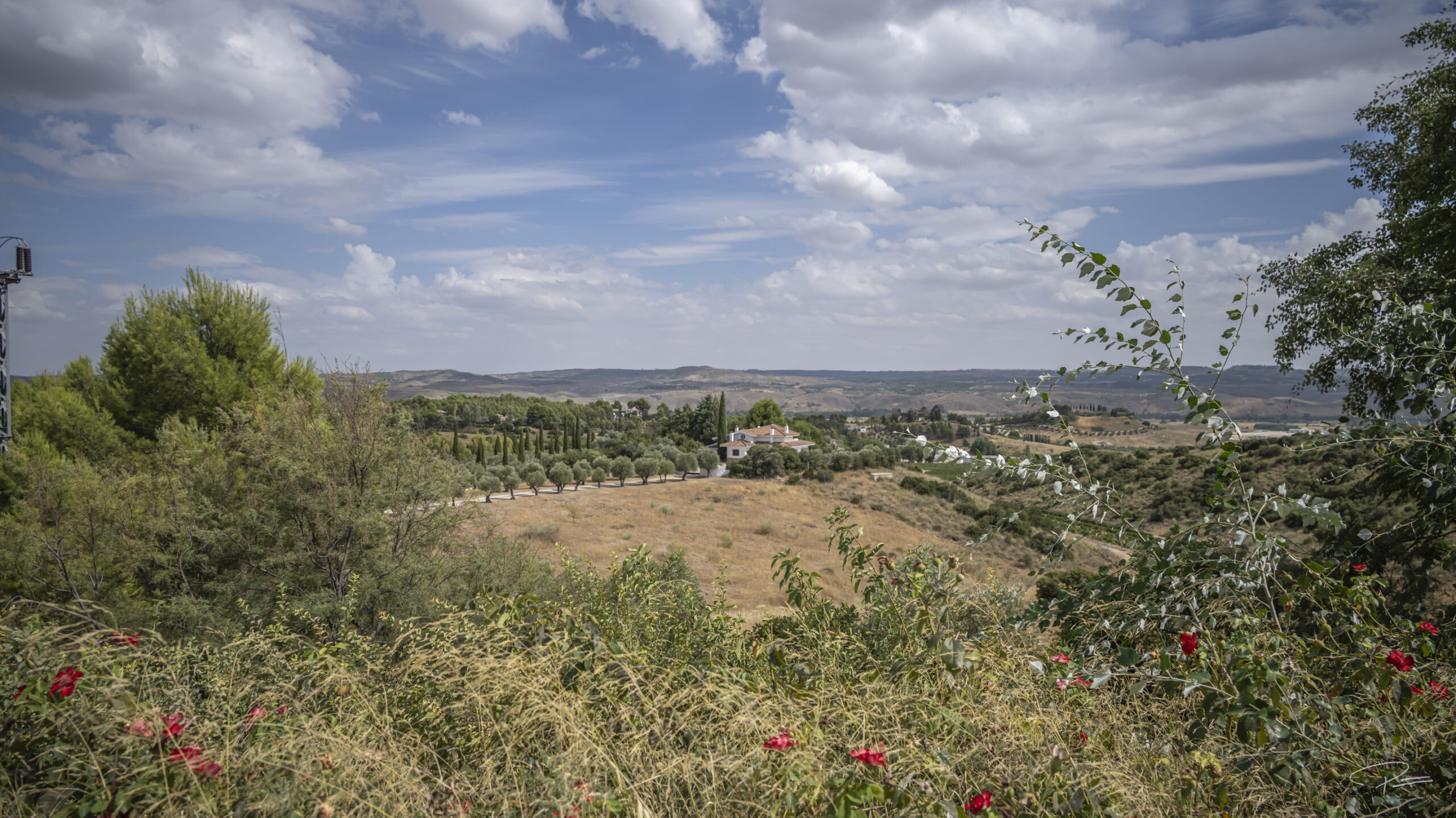 Why the Best Corporate Offsites Happen 30 Minutes from Madrid