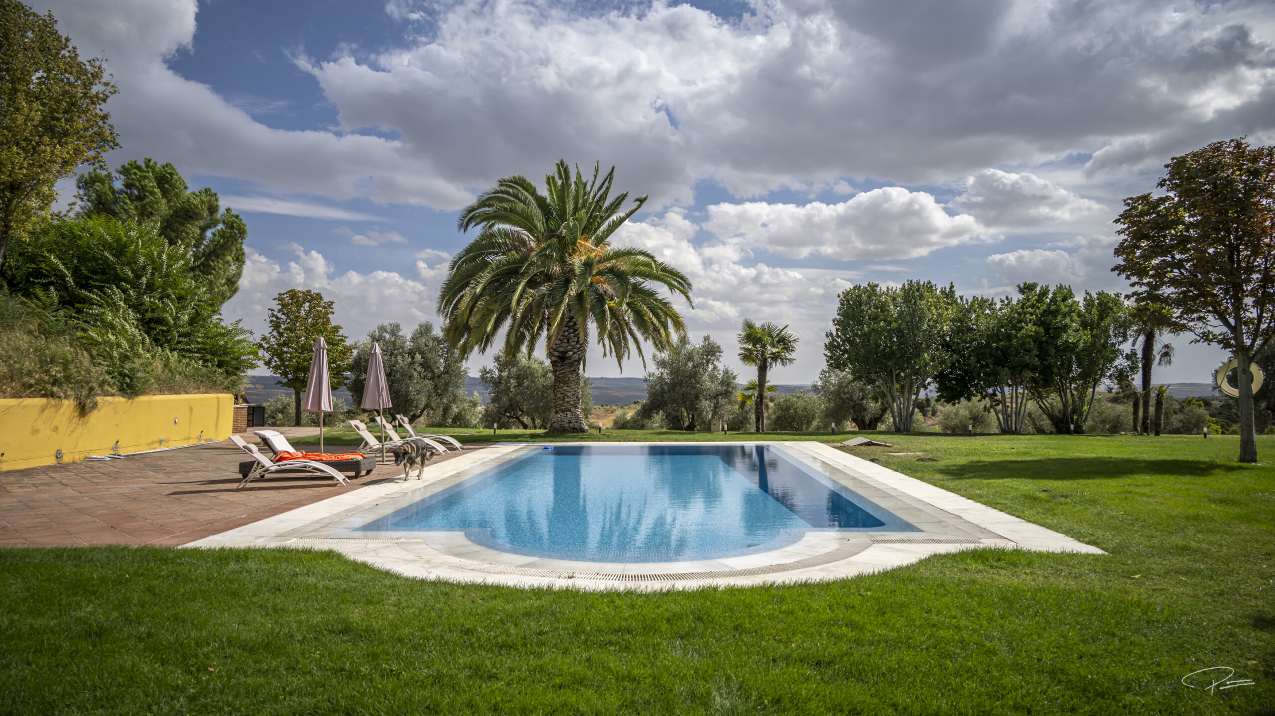 Why Private Estates Are Redefining Luxury Events Near Madrid